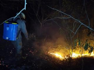 Amukan Si Jago Merah Ludeskan 1 Hektare Lahan di Busung Bintan