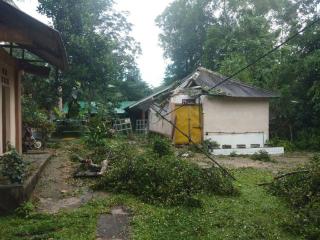 Terjangan Puting Beliung Juga Porak Porandakan Hutan Wisata Mata Kucing