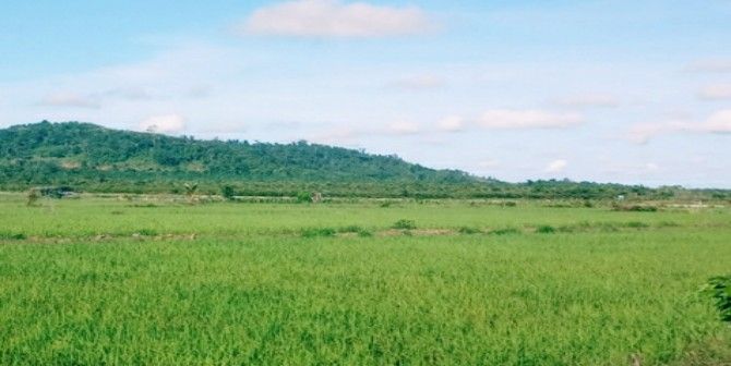 Pertanian di Natuna, Sektor Potensial yang Belum Tergarap Maksimal