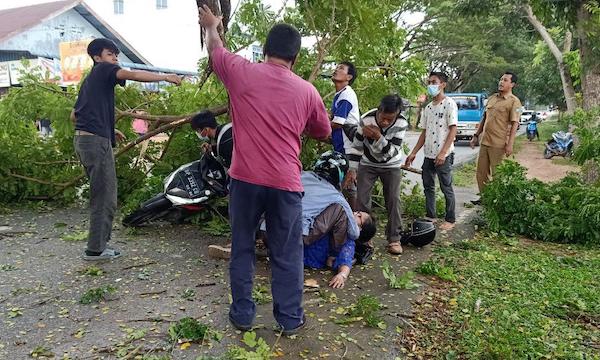 Emak-emak Pingsan Tertimpa Pohon Tumbang yang Ditabrak Mobil