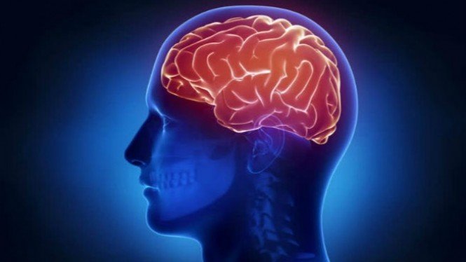 Tanpa Disadari, 5 Kebiasaan Ini Bisa Berdampak Negatif Terhadap Otak