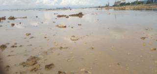 Laut Punggur Batam Tercemar Limbah Beracun, Warga Takut Cari Udang dan Gonggong