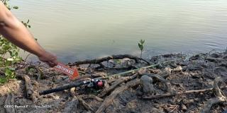 Buaya Terkam Pemancing Asal NTT Hingga Tewas
