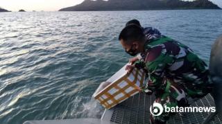 Benih Lobster Senilai Rp12 M Kembali Dilepaskan di Laut Karimun