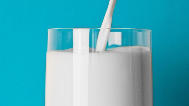 IDI: Susu Beruang Tak Bisa Obati Covid-19