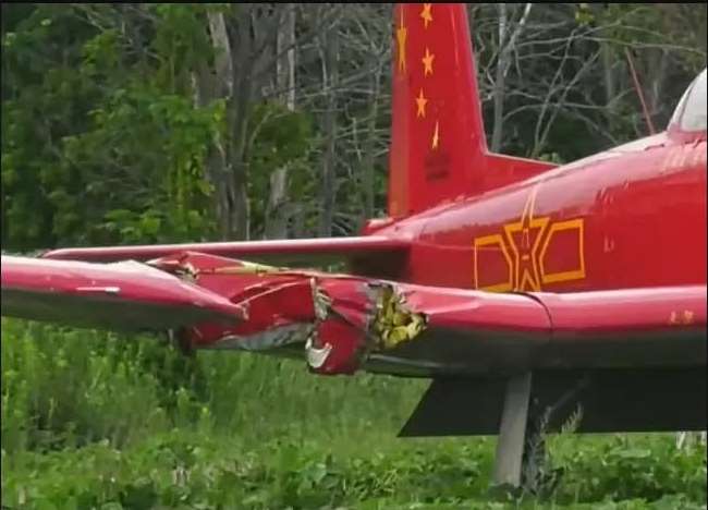 Perempuan Muda Tewas Ditabrak Pesawat saat Memotong Rumput