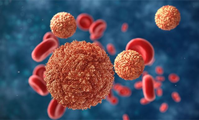 Corona Belum Reda, Virus Zika Kini Merebak di India