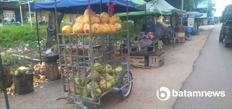 Green Coconuts Sales in Batam Increase Drastically