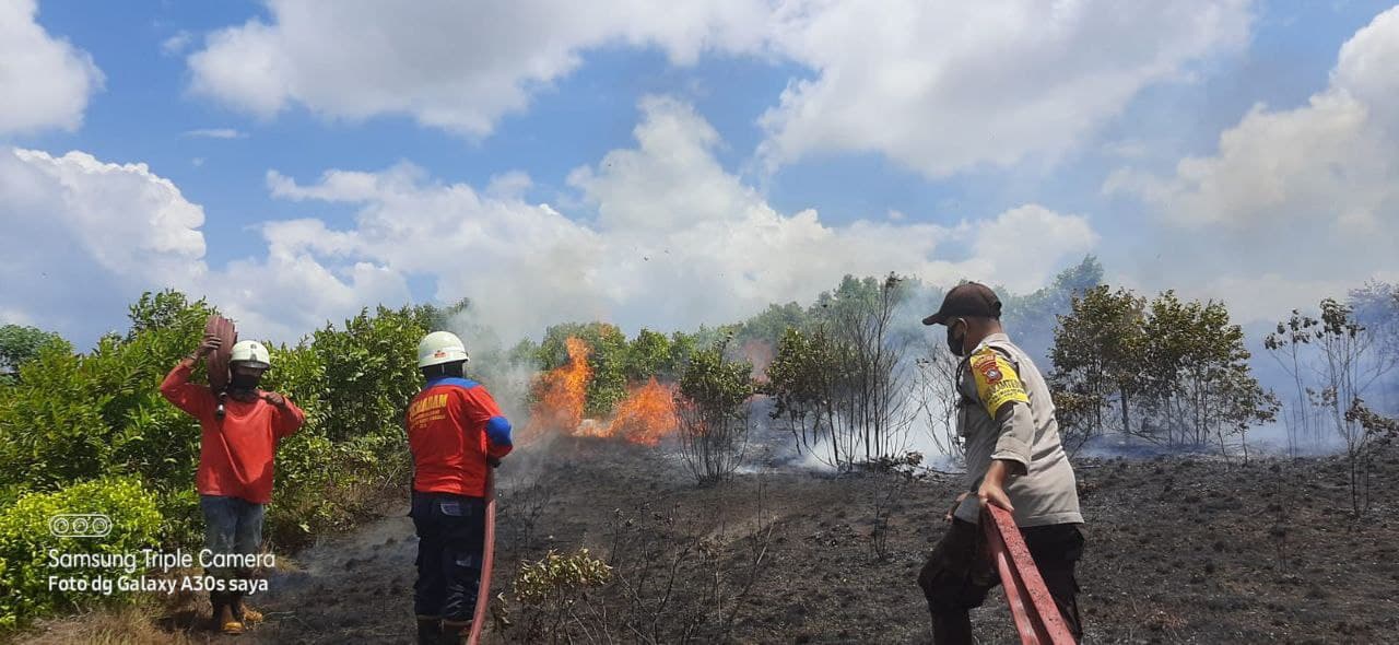 3 Ha Lahan Gosong, Damkar Bintan: Jangan Bakar Sampah Sembarangan!