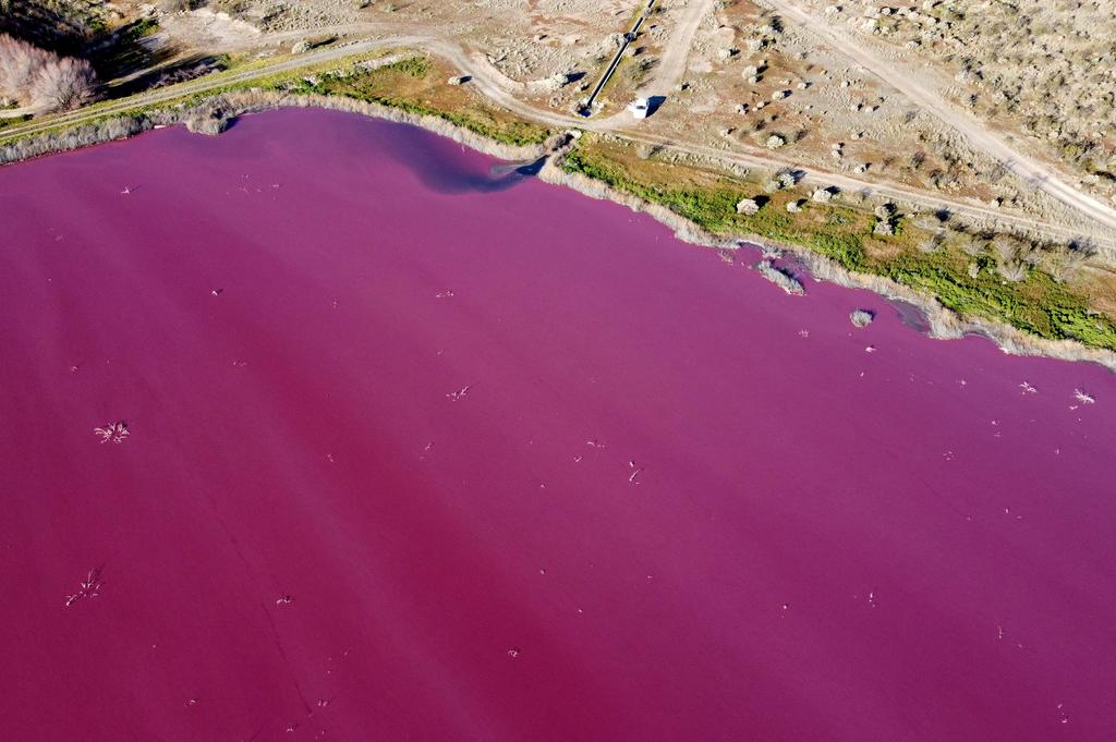 Pencemaran Ubah Warna Danau Ini Jadi Merah Muda