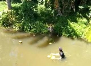 Heboh Video WNA Vietnam Curi Kelapa Warga, Imigrasi Natuna: Mereka Diupah