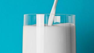 IDI: Susu Beruang Tak Bisa Obati Covid-19