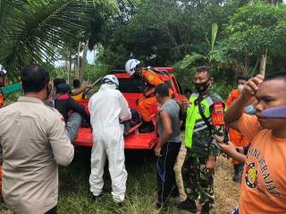 Pencari Madu di Natuna Tewas Terjatuh dari Pohon