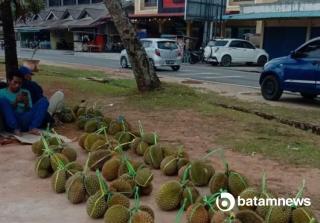 Musim Durian di Natuna Tak `Seruntuh` Dulu, Harganya 3 Butir Rp 100 Ribu