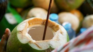 Bahaya dan Manfaat Air Kelapa yang Konon Bisa Tangkal Covid-19