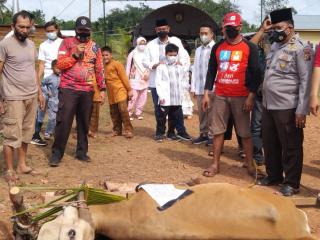 Jalin Silaturahmi Polri dan Warga, Polres Meranti Kurban 6 Sapi dan 7 Kambing