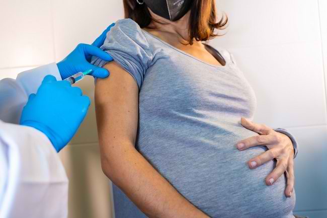 Dinkes Batam Sarankan Ibu Hamil Konsultasi ke Dokter sebelum Vaksinasi Covid-19