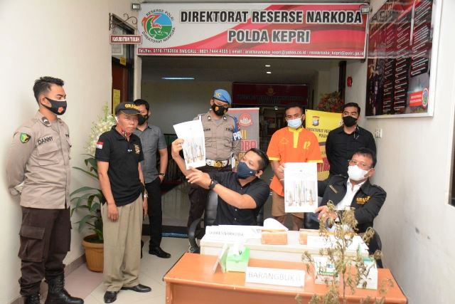 Ketimbang Beli, Pria di Batam Pilih Tanam Pohon Ganja Sendiri