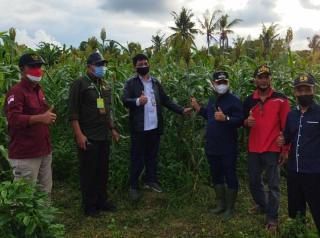 Dirjen Perbenihan Kementan Gelar Penyuluhan di Lingga