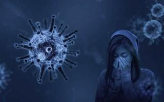 Pakar: Virus