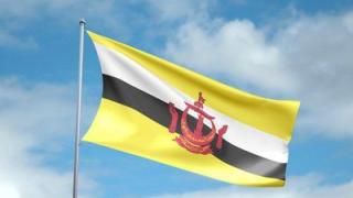 Setahun Lebih Tanpa Kematian, Brunei Laporkan 2 Warga Meninggal Akibat Covid-19 