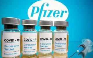 CEO Pfizer Ramal Kemunculan Varian Corona Kebal Vaksin