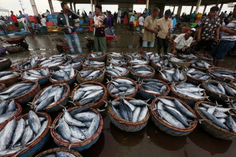 DKP Dorong Swasta Bangun Pabrik Pengalengan Ikan di Kepri