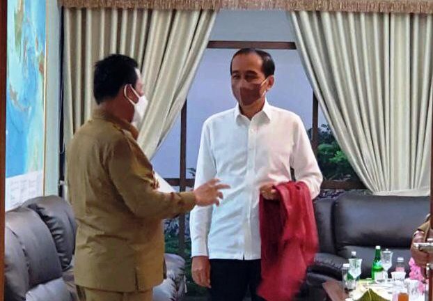 Bertemu Jokowi, Gubernur Ansar Usulkan FTZ Menyeluruh di Bintan dan Karimun