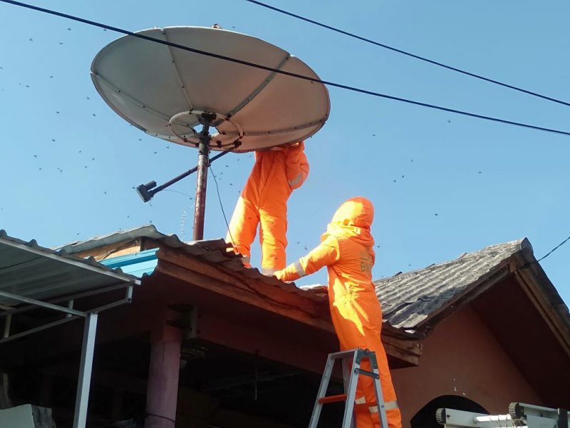 Kisah Damkar Bintan Taklukan Ular, Biawak dan Tawon Vespa