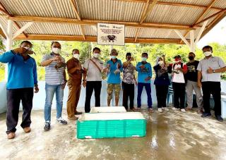 Budidaya Kepiting Bareng PT Timah, Pokdakan di Karimun Panen Perdana