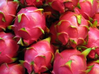 Mengenal 7 Manfaat Buah Naga Bagi Kesehatan, Bagus untuk Diet 
