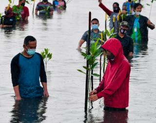 Jokowi Nyemplung ke Laut Bersama Warga di Setokok Batam