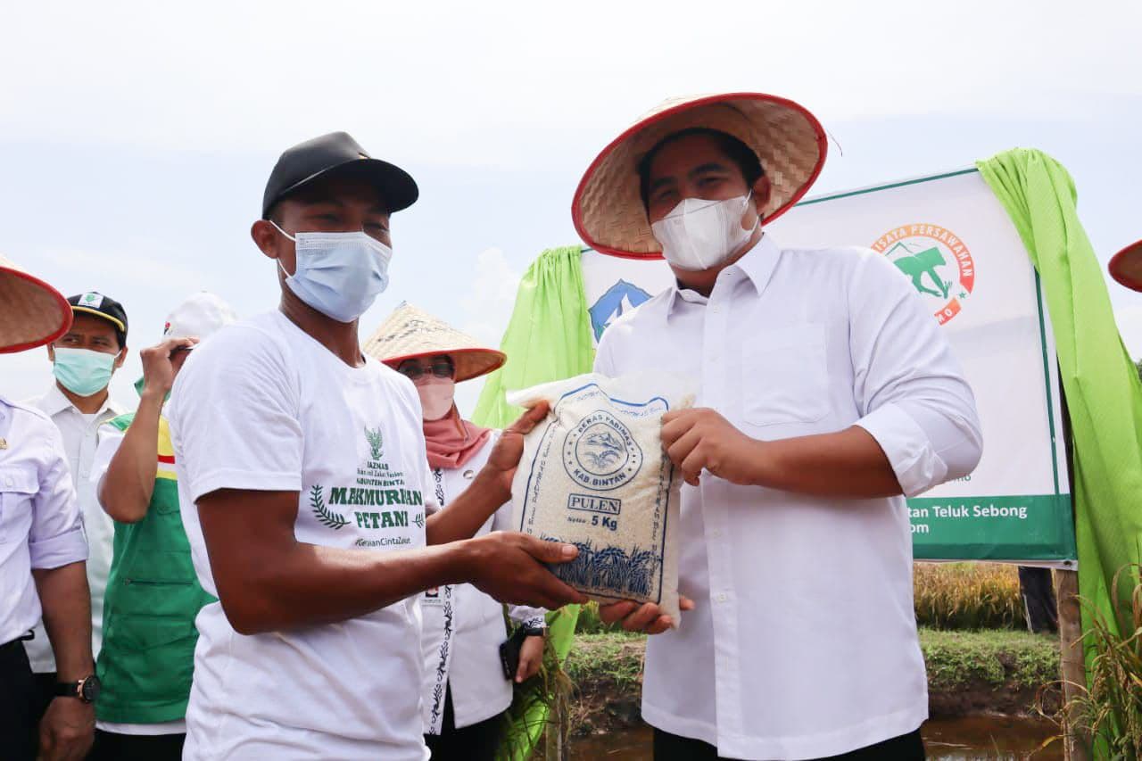 Lahan Persawahan Desa Sri Bintan Jadi Kawasan Agrowisata