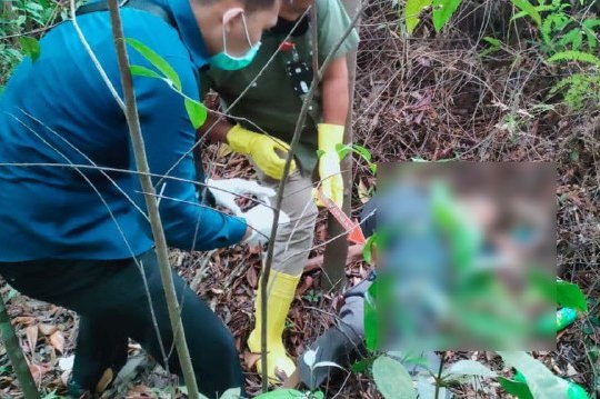 Penemuan Mayat Pria Paruh Baya di dekat Batam Hills Golf, Begini Ciri-cirinya