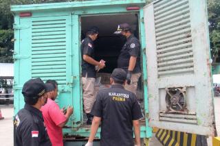 Daging Babi Selundupan Beredar di Bintan, Karantina Waspada