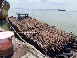 Bea Cukai Kepri Gagalkan Penyelundupan Kayu Bakau ke Malaysia