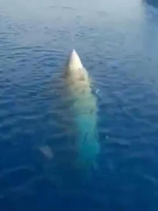 Viral Benda Mirip Roket Ditemukan Nelayan di Laut, Ini Kata TNI AU