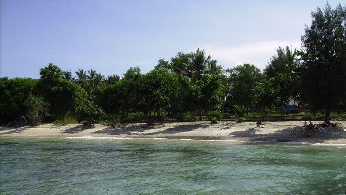 Pulau Bulan, Sumber Impor Listrik dan Babi untuk SingapuraÂ 