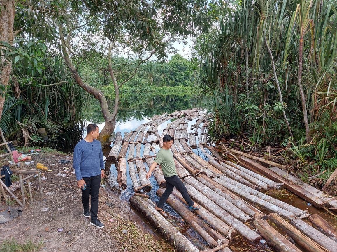 Polda Riau Bongkar Pembalakan Hutan Lindung yang Diotaki 