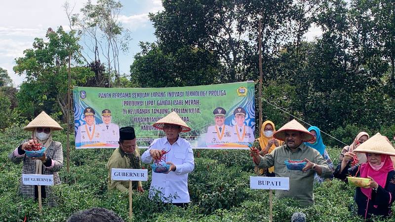 Gubernur Ansar Ingin Kundur Jadi Sentra Pertanian Karimun