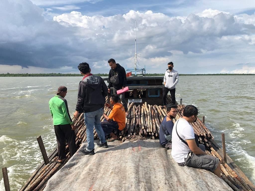Oknum Kades di Meranti Diduga Terlibat Ilegal Logging
