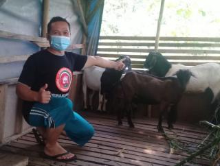 KPKS Tanjungpinang Luncurkan Program Pemberdayaan `Pemuda Beternak`