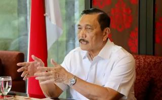 Jubir Akui Luhut Terlibat Bisnis PCR