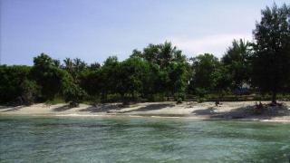 Pulau Bulan, Sumber Impor Listrik dan Babi untuk SingapuraÂ 