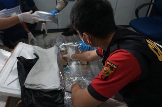 Custom Office of Riau Islands Stops and Secures Baby Lobster Smuggling