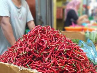 Harga Cabai Merah dan Minyak Goreng di Batam Merangkak Naik