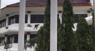 Lagi Demo, Buruh Sindir Pemko Batam Pekerjakan Tukang Cat Gedung Tanpa Safety