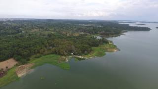 Seribu Pohon Hijaukan Waduk Duriangkang Batam Lewat Tree for Life