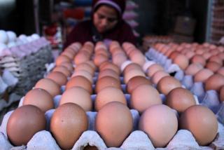 Harga Telur Ayam di Batam Melambung, Pemilik Warung Makan Mengeluh