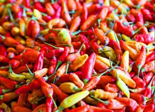 Harga Cabai Setan di Batam Makin Kesetanan, Dekati Rp 100 Ribu/Kg